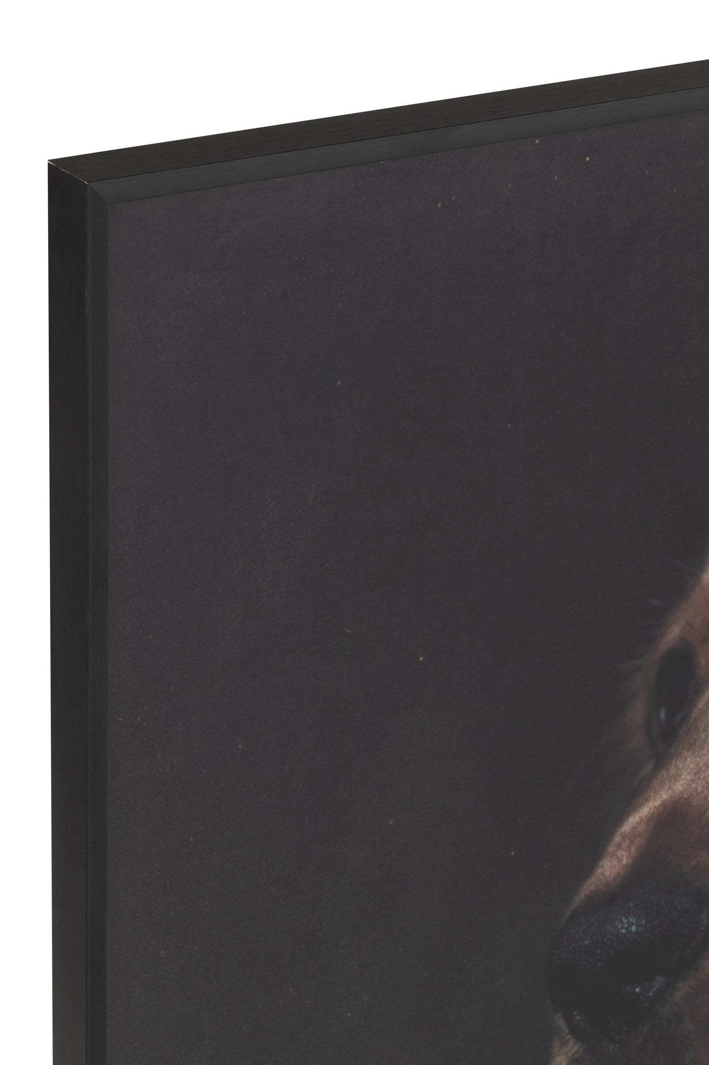 Wanddeco Hond Glas/Aluminium Bruin