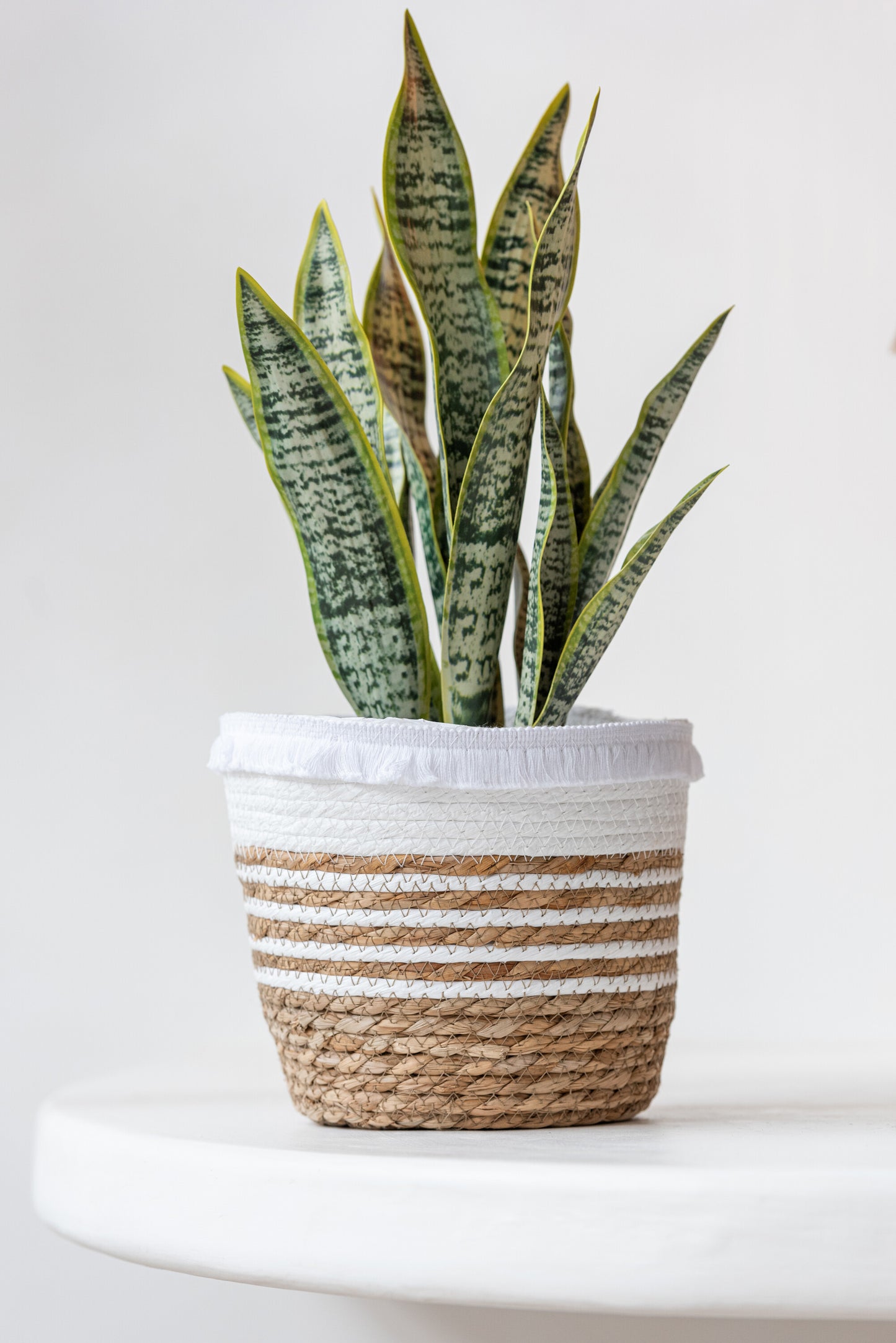 Set Van 3 Manden Geweven Gras Wit Naturel