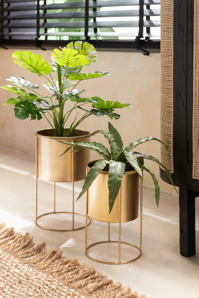 Philodendron In Pot Plastiek Groen Small