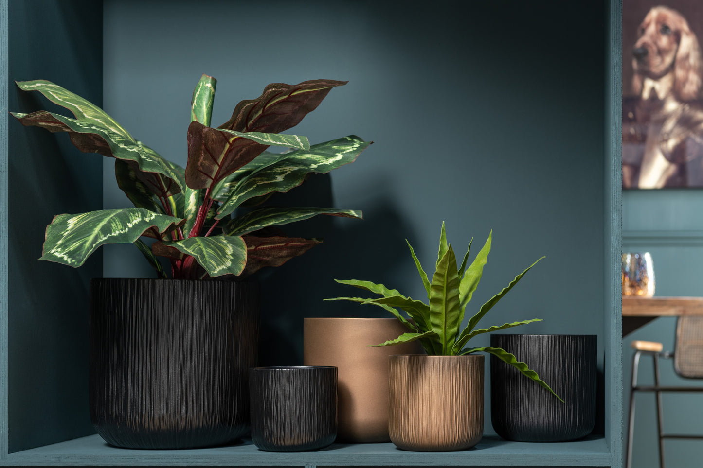 Peacock Plant In Pot Plastiek Groen