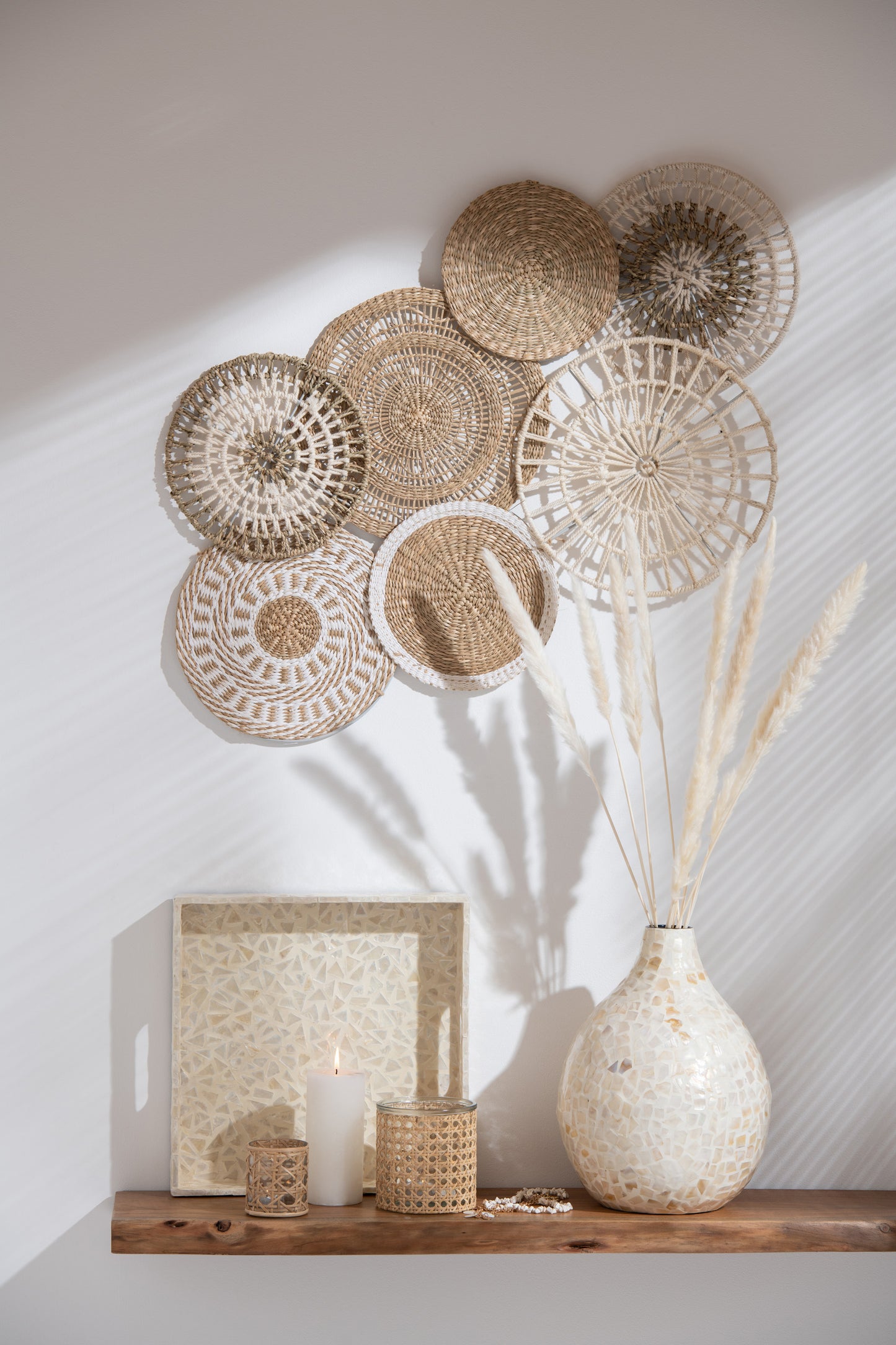 Bundel Pluimen Fijn Miscanthus Floridulus Gedroogd Creme