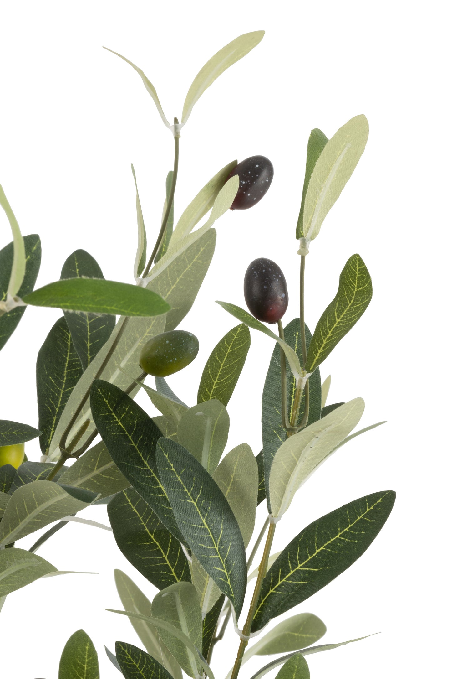 Olive Tree In Pot Plastic Green Medium