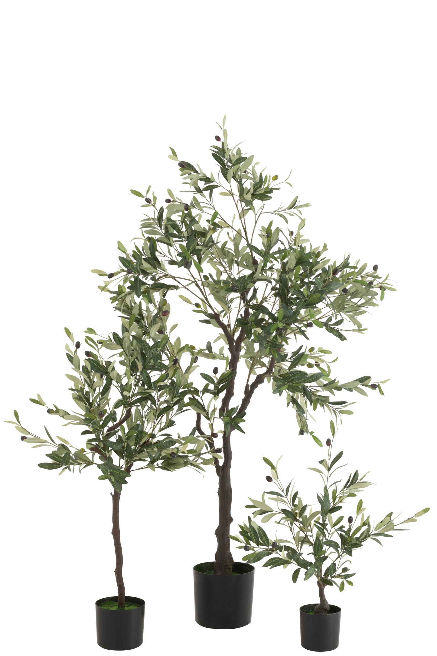Olive Tree In Pot Plastic Green Medium