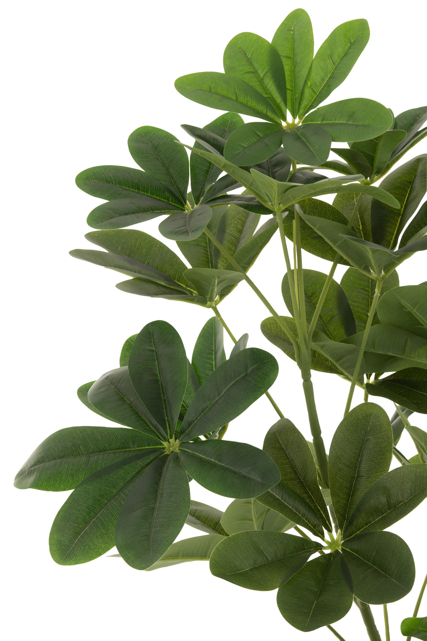 Arbre à billets en pot plastique vert grand