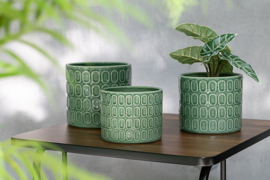 Anthurium/Eléphant Oreille En Pot Plastique Vert Assortiment De 2