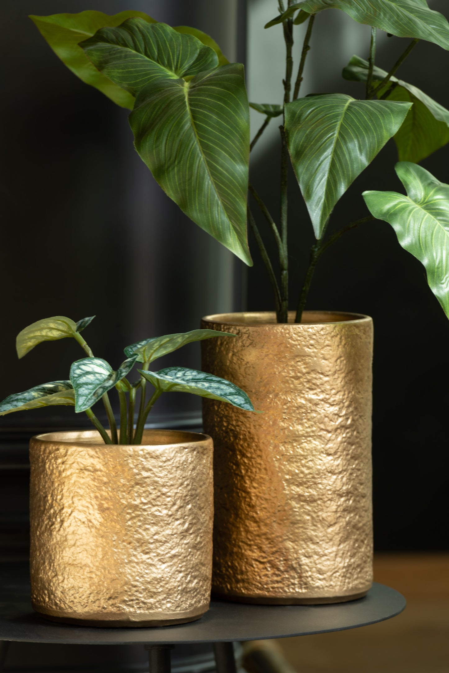 Philodendron Plastic Green Assortment Of 2
