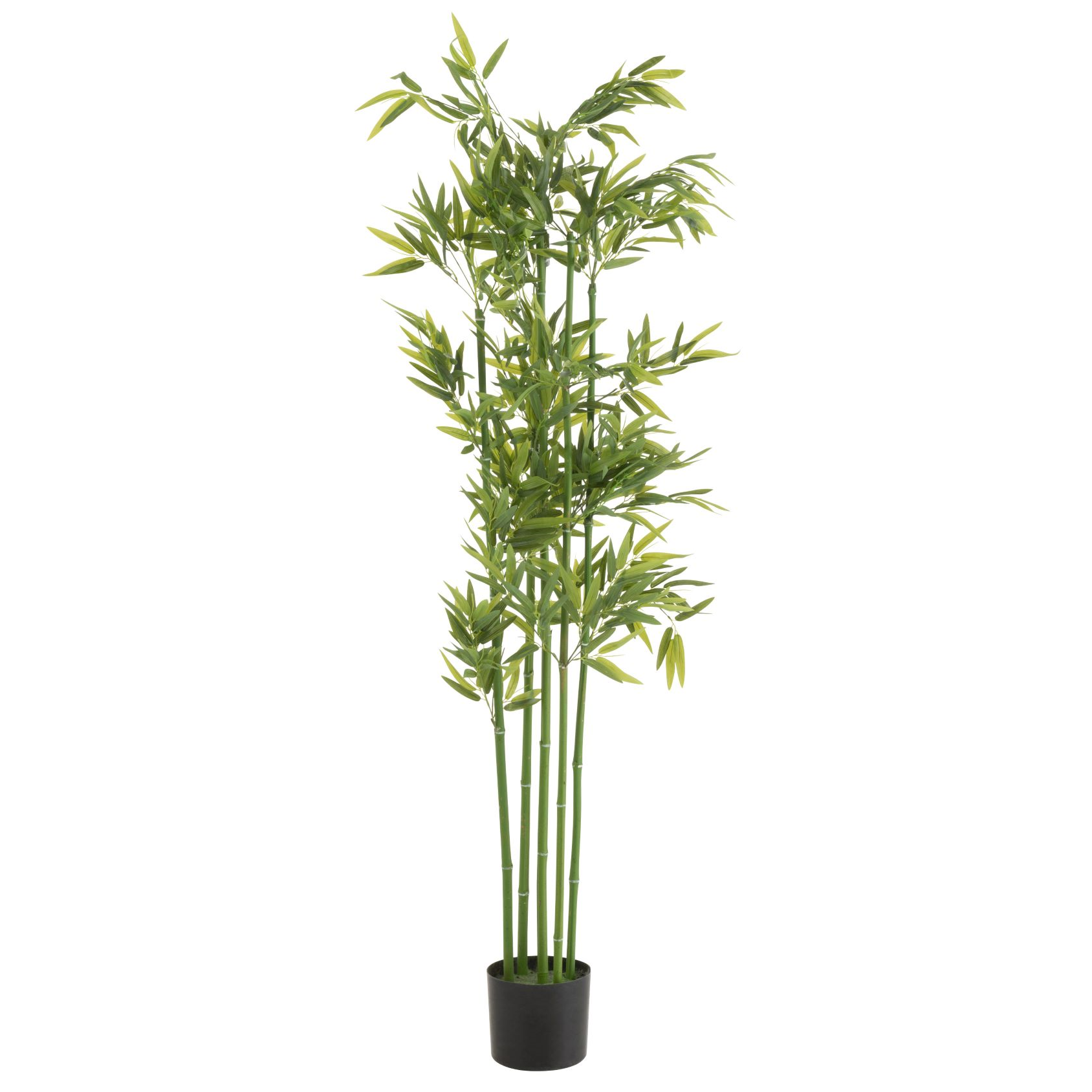 Tenen Klein Extra Bamboe In Pot Plastiek Groen Small – Felika