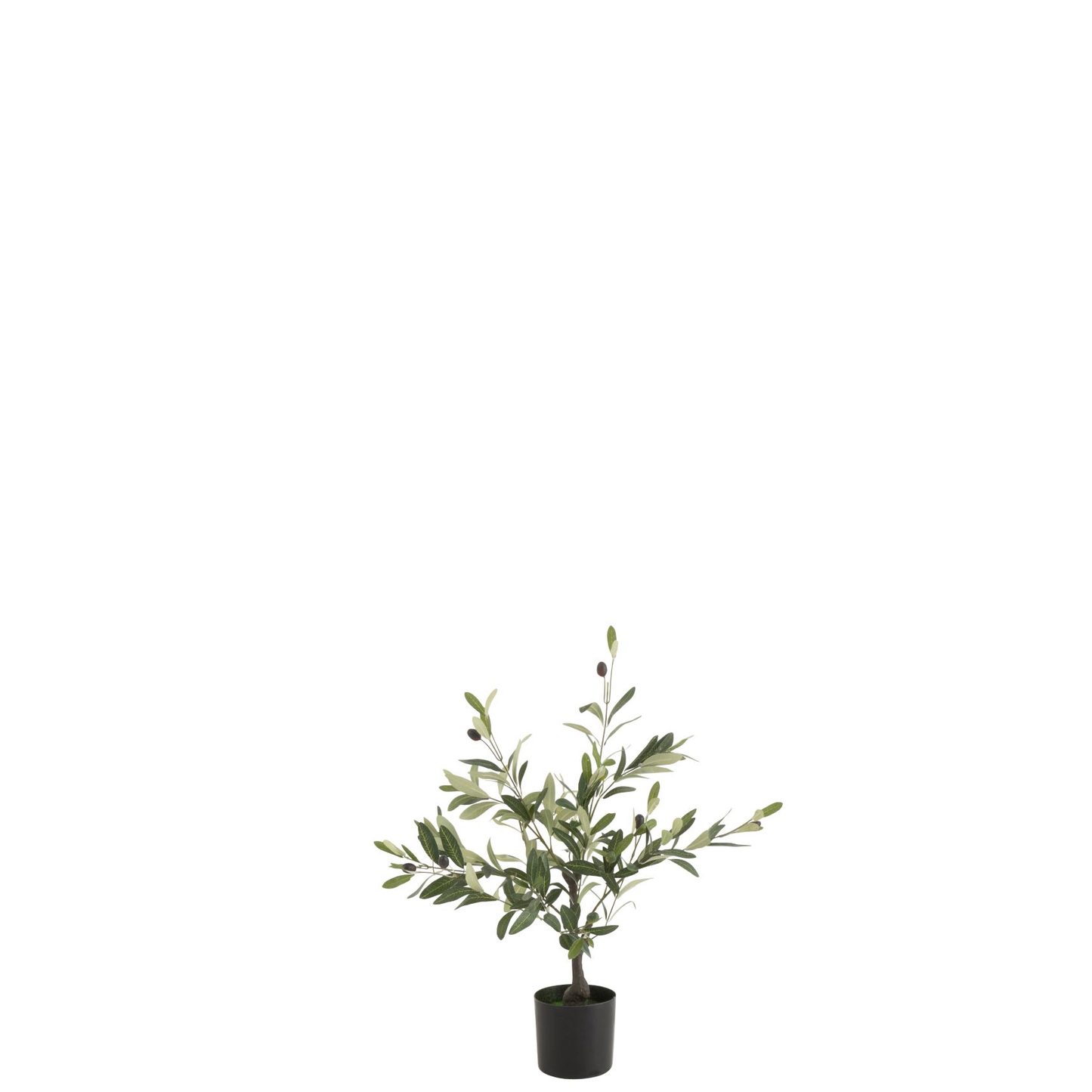 Olijfboom In Pot Plastiek Groen Small