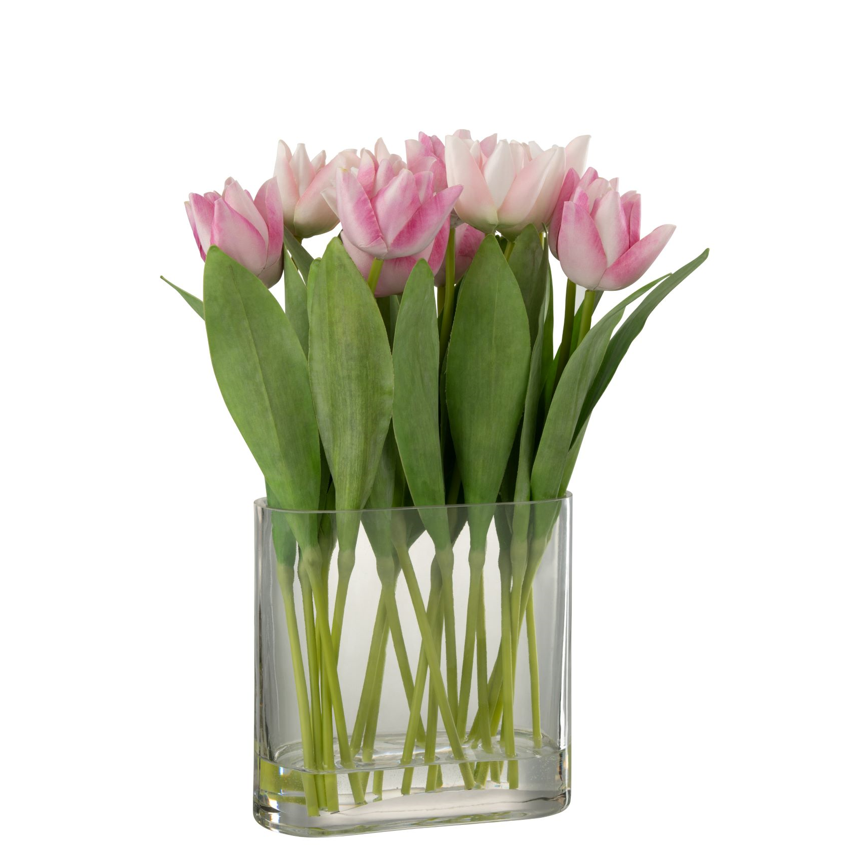 gastheer toxiciteit Beenmerg Tulpen In Vaas Ovaal Plastiek Glas Roze – Felika