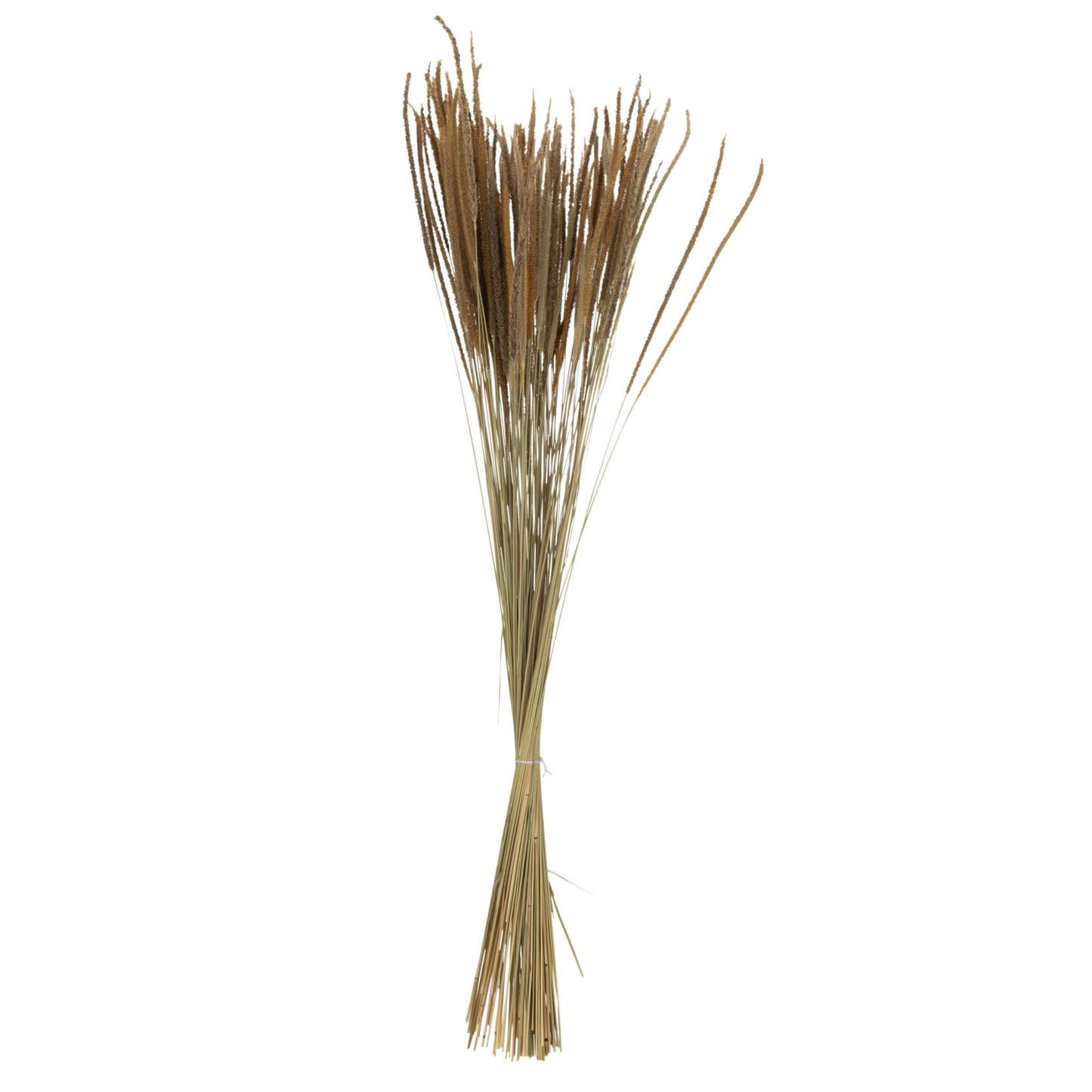 Paquet d'herbes de fontaine orientales séchées naturelles