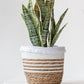 Set Van 3 Manden Geweven Gras Wit Naturel