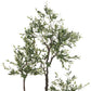 Olive Tree In Pot Plastic Green Medium 