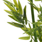 Bamboo In Pot Plastic Green Large 