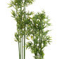 Bamboo In Pot Plastic Green Large 