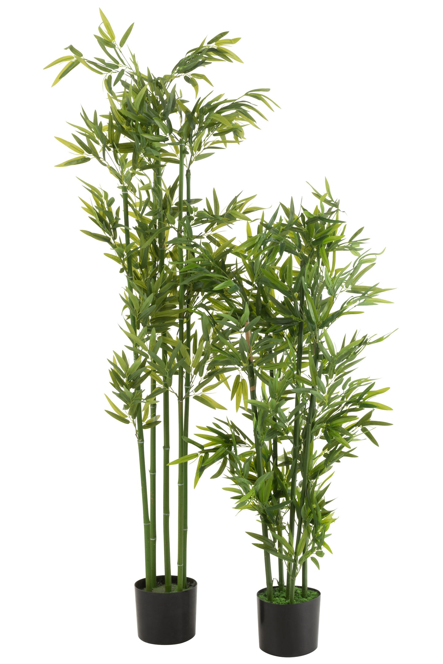 Bamboo In Pot Plastic Green Large 
