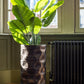 Taro Wild In Pot Plastic Green Large 