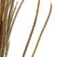 Paquet d'herbes de fontaine orientales séchées naturelles 
