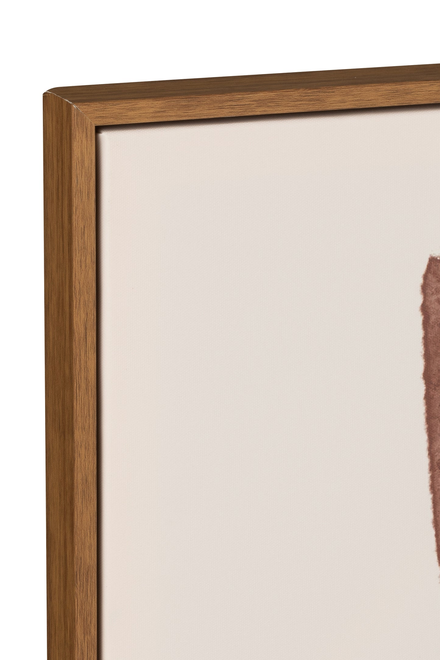 Wall decoration Lined Canvas/Plastic Beige 