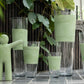 P'tit Maurice Rough Finish Poly Vert Petit 