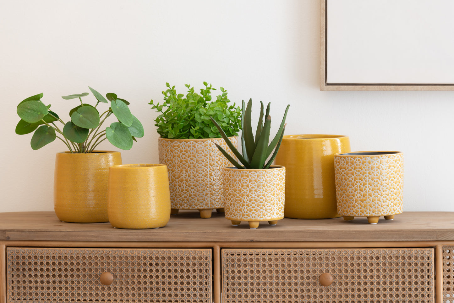 Succulente/Aloe Vera/Lotus+Pot Vert Mélamine Blanc Petit Assortiment De 3 