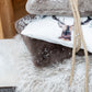 Coussin Cutie Polyester Taupe 