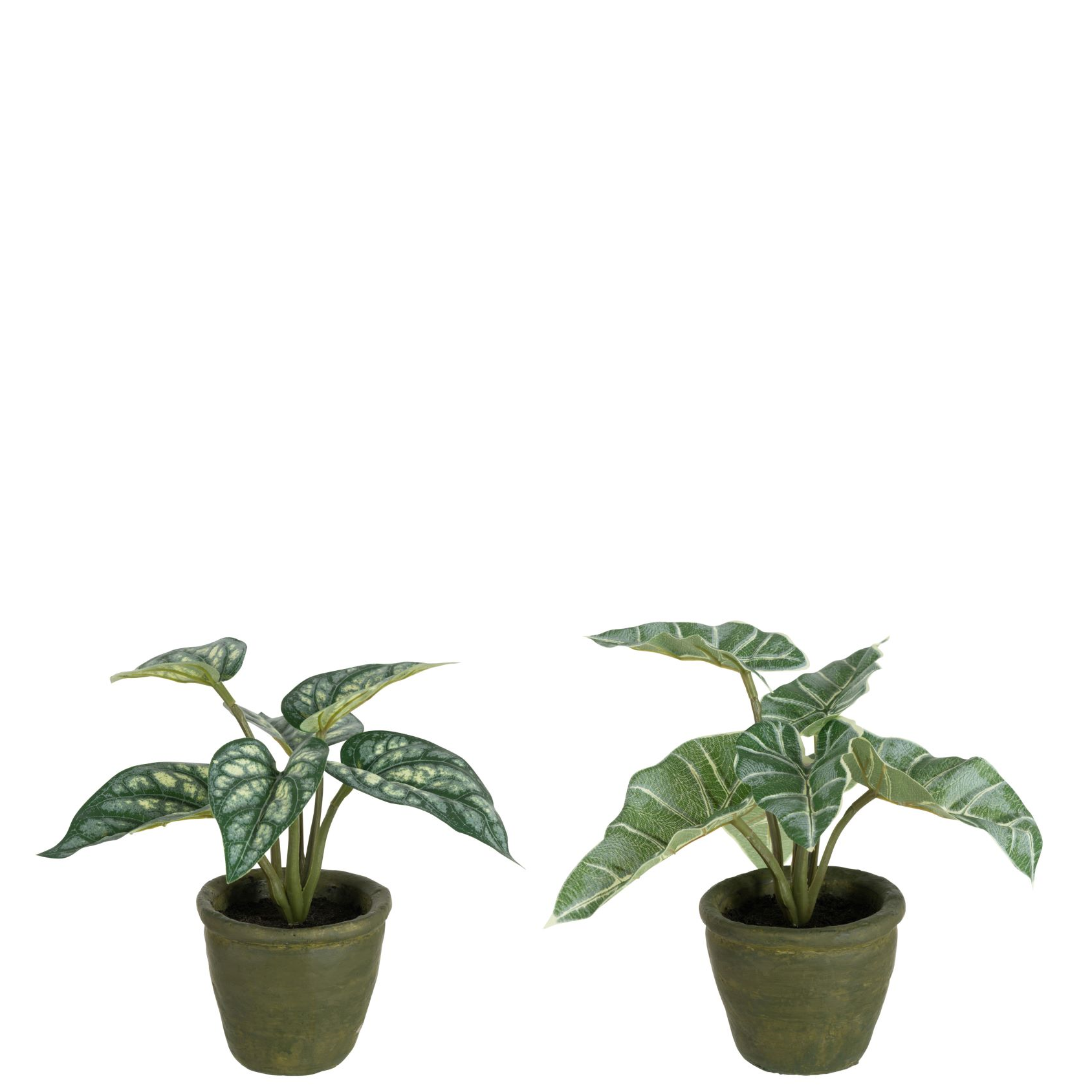 Anthurium/Olifantsoor In Pot Plastiek Groen Assortiment Van 2 Kunstplant Kunstplanten Felika