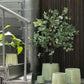 Bloempot Rond Keramiek Groen Medium met small en large sfeerfoto met plant felika