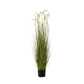 Graminées+queues en pot plastique vert grand 