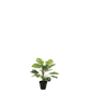Philodendron Kunstplant In Pot Plastiek Groen Small