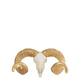 Schedel Schaap Resine Wit Goud Large Jline Felika