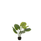 Taro Wild In Pot Plastiek Groen Small Kunstplant Kunstplanten